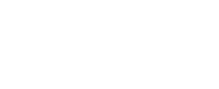 Quick Chip logo